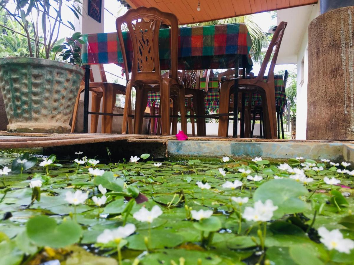 Kandy Ivy Banks Holiday Resort Eksteriør billede