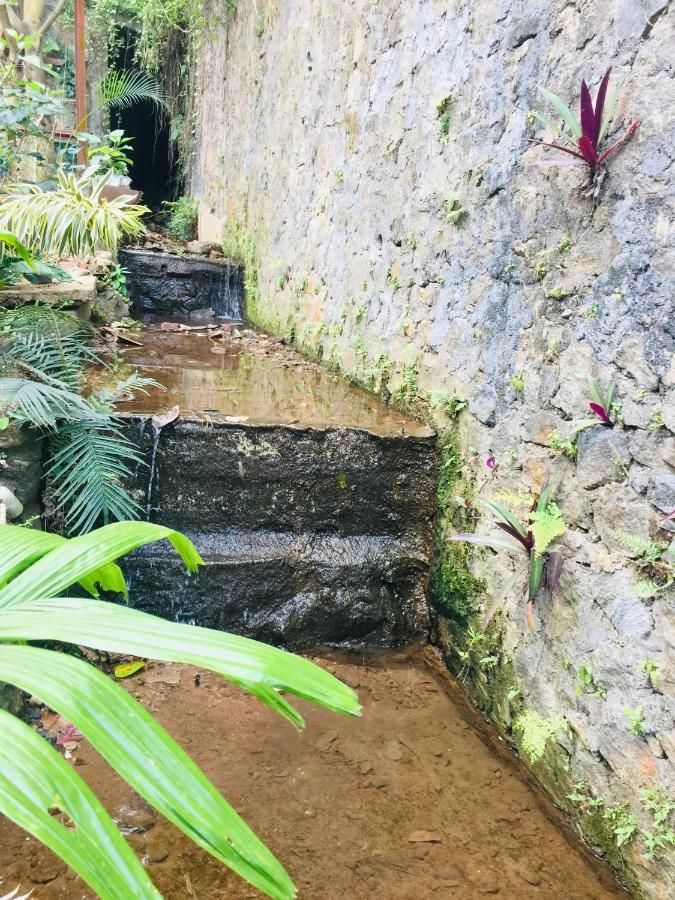 Kandy Ivy Banks Holiday Resort Eksteriør billede