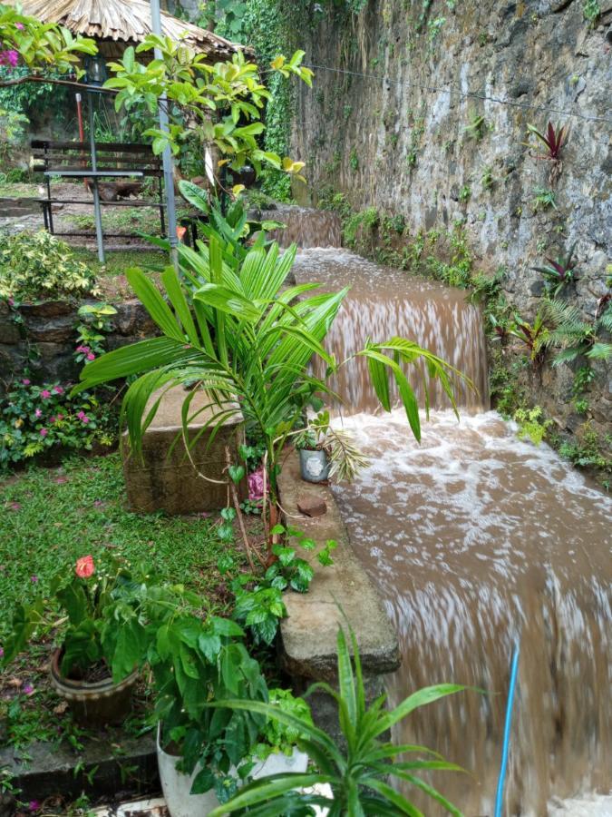 Kandy Ivy Banks Holiday Resort Eksteriør billede
