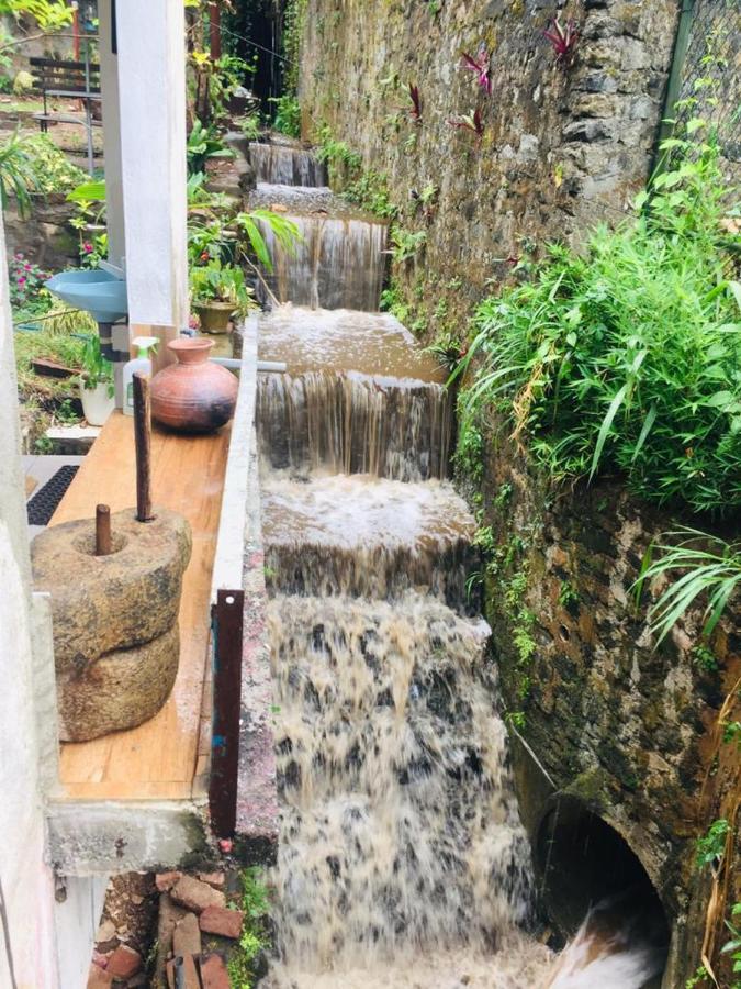 Kandy Ivy Banks Holiday Resort Eksteriør billede
