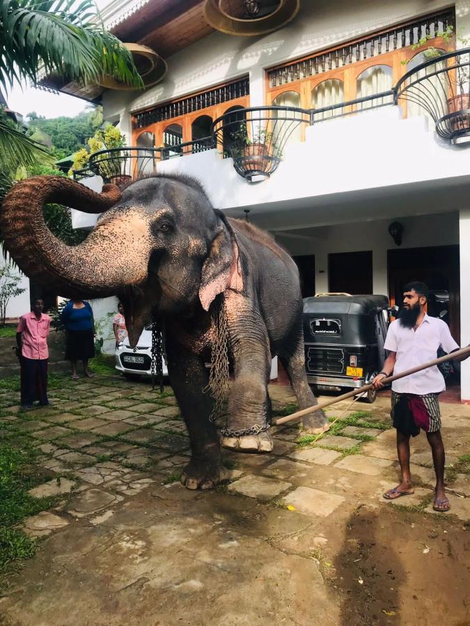 Kandy Ivy Banks Holiday Resort Eksteriør billede