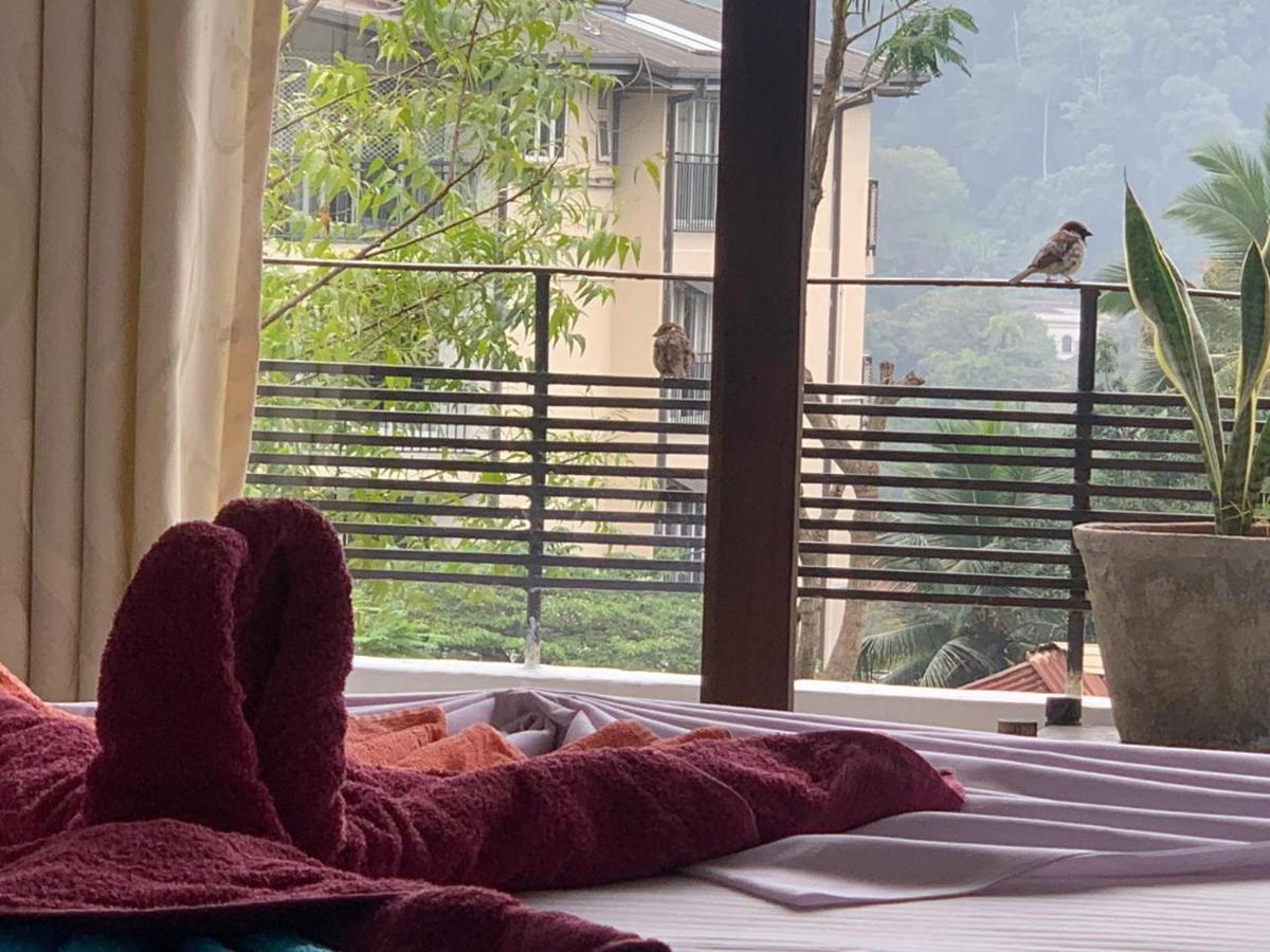 Kandy Ivy Banks Holiday Resort Eksteriør billede